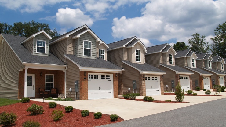 Southern California Pest & Termite Control Experts